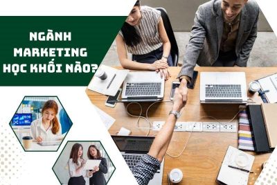 Marketing học khối nào? Marketing gồm những mảng nào